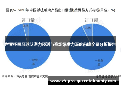 世界杯黑马球队潜力预测与赛场爆发力深度前瞻全景分析报告 世界杯黑马球队潜力预测与赛场爆发力深度前瞻全景分析报告