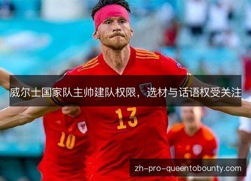 威尔士国家队主帅建队权限，选材与话语权受关注
